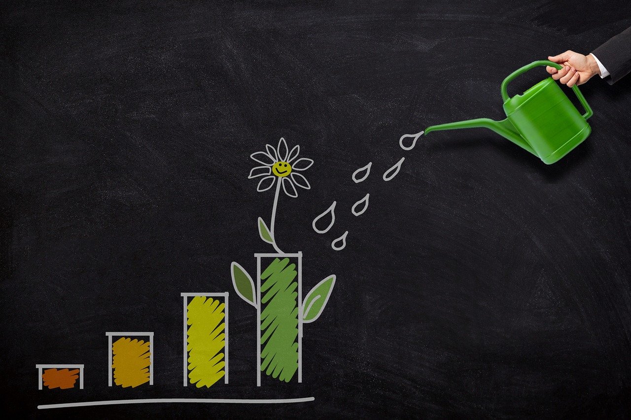 investment, growth, nature, watering, can, money, finance, business, wealth, profit, savings, increase, plant